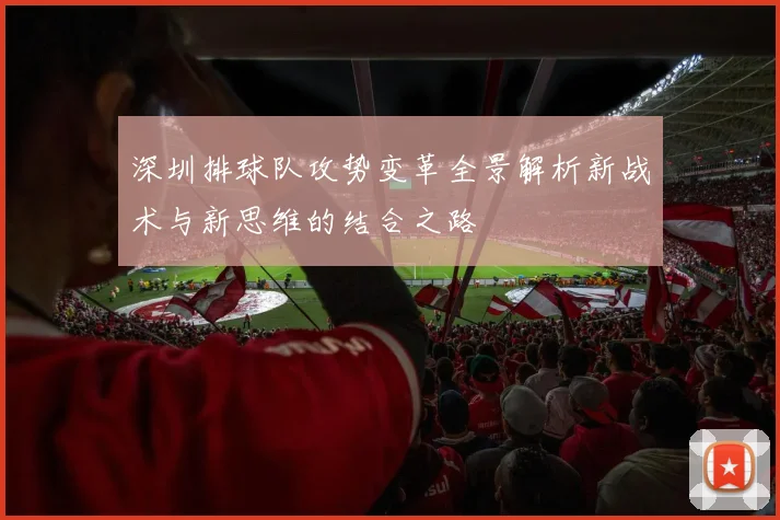 深圳排球队攻势变革全景解析新战术与新思维的结合之路